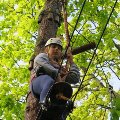 60471540_3081068771918457_225772321783152640_o